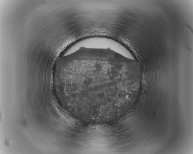 X0000102460679200809051310