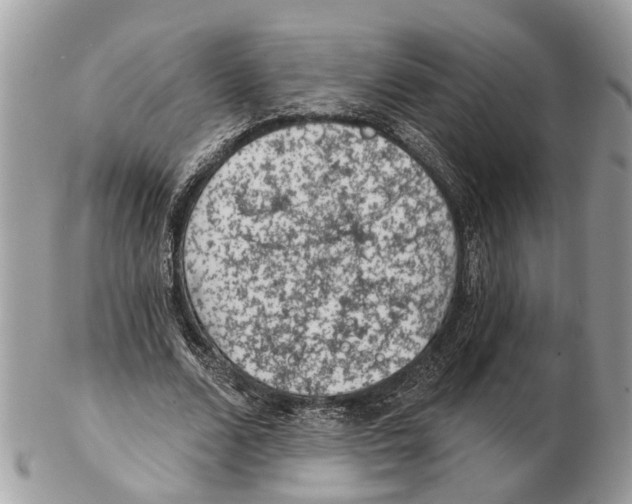 X0000102460680200809051310