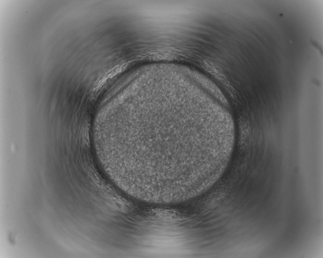 X0000102460681200809051310