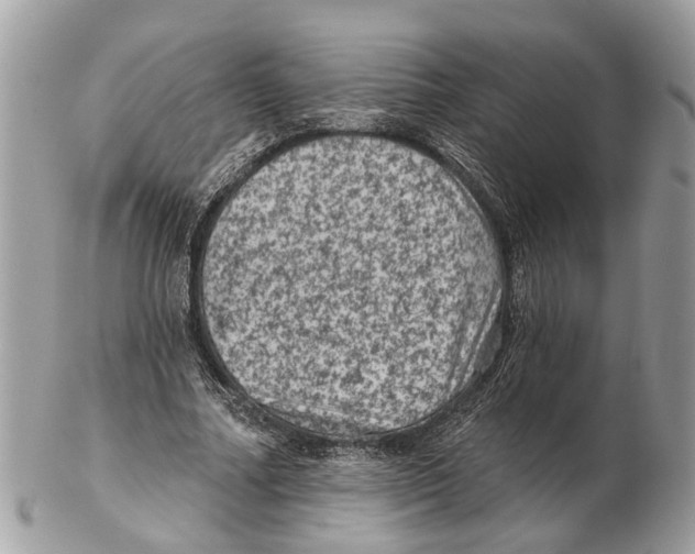 X0000102460682200809051310