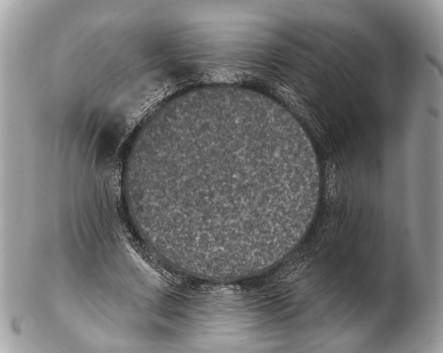 X0000102460683200809051310