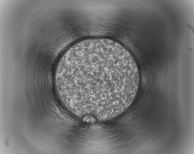 X0000102460684200809051310