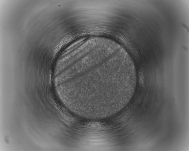 X0000102460685200809051310
