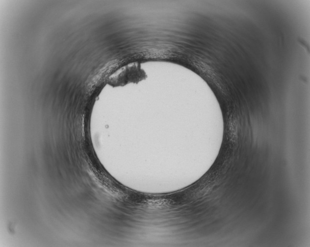 X0000102460686200809051310