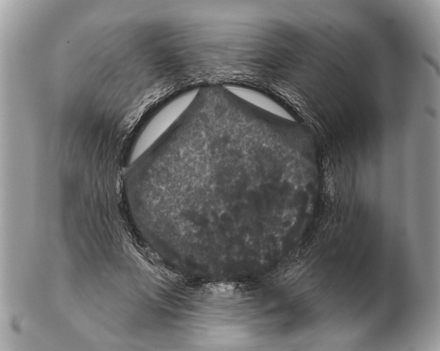 X0000102460687200809051310