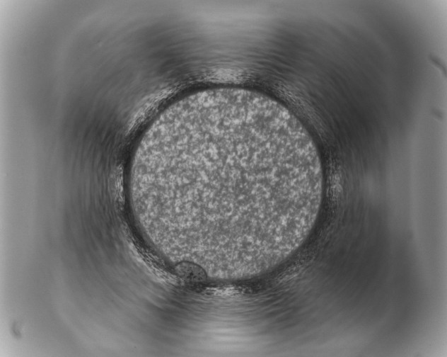 X0000102460688200809051310