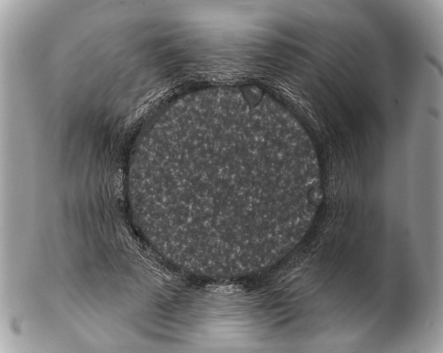 X0000102460689200809051310