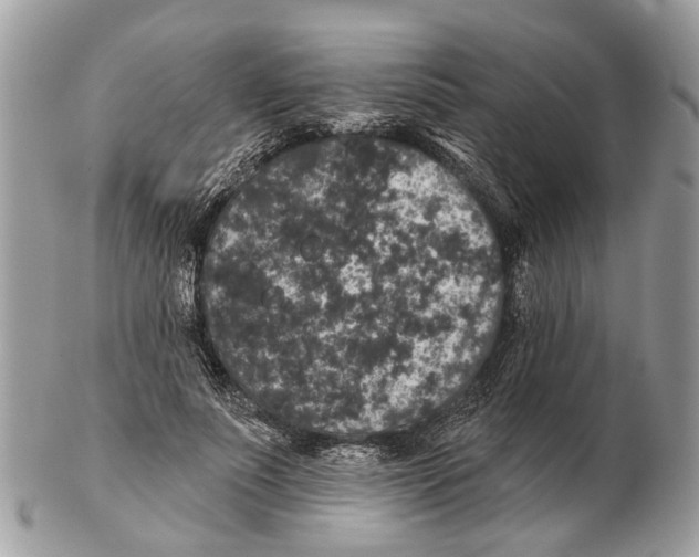 X0000102460691200809051310