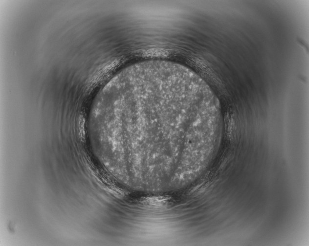 X0000102460692200809051310