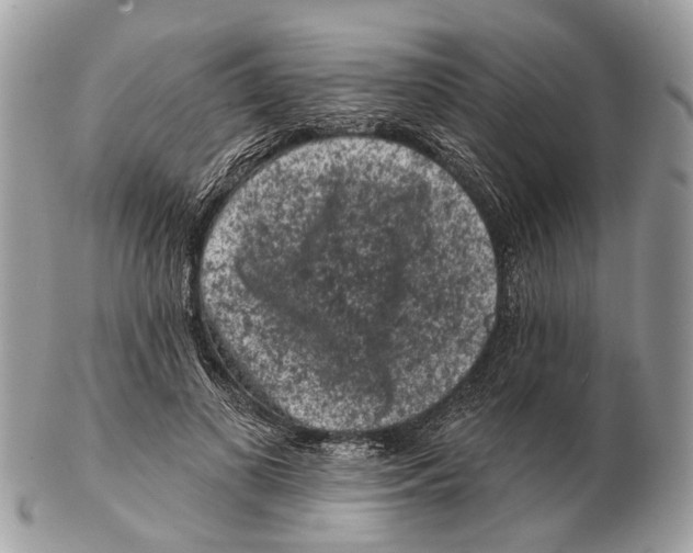 X0000102460693200809051310