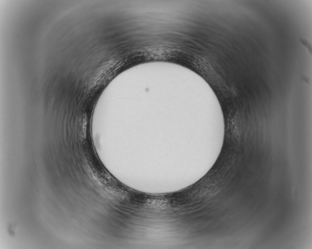 X0000102460694200809051310