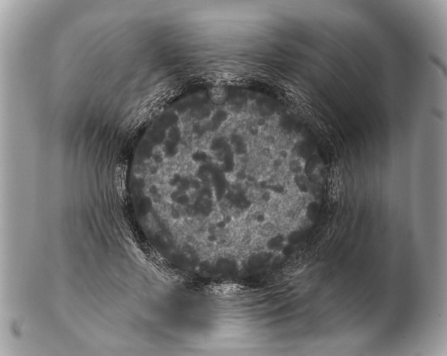 X0000102460695200809051310