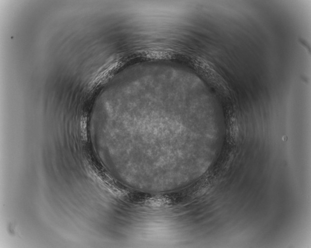 X0000102460696200809051310