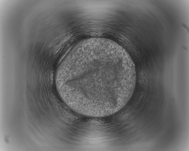 X0000102460697200809051310