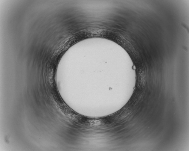 X0000102460698200809051310