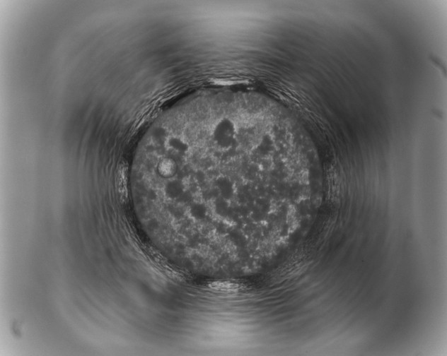 X0000102460699200809051310
