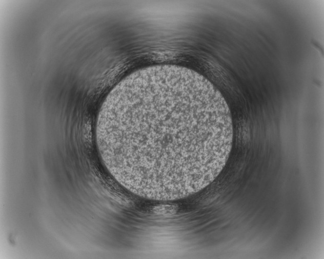 X0000102460700200809051310