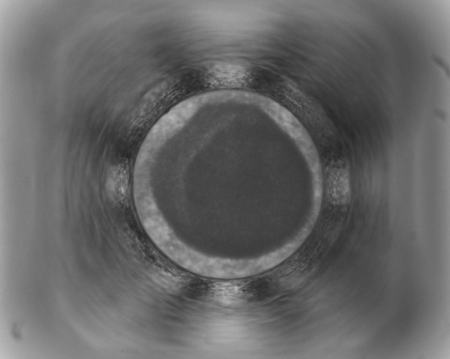 X0000102460701200809051310