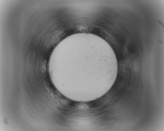 X0000102460702200809051310