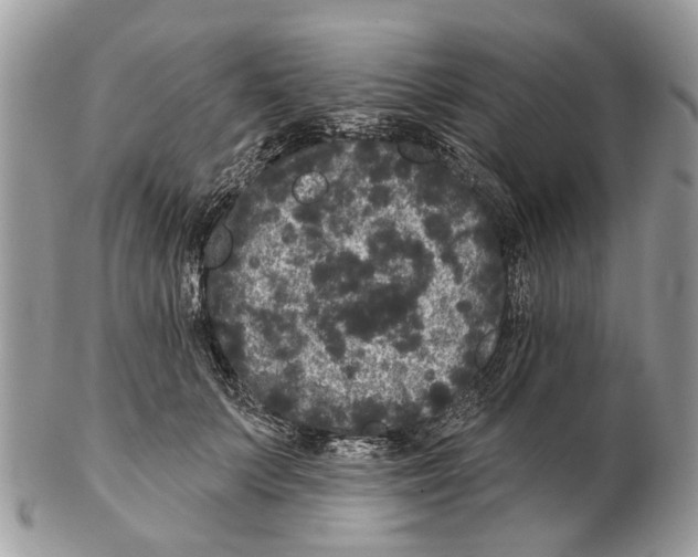 X0000102460703200809051310