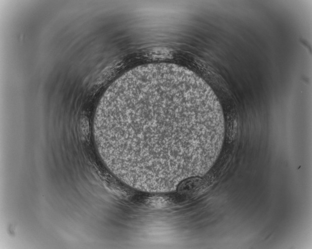 X0000102460704200809051310