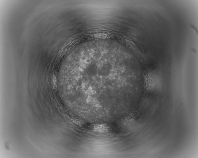 X0000102460705200809051310