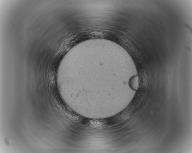 X0000102460706200809051309