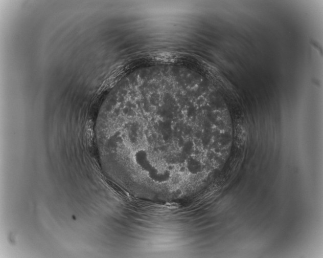 X0000102460707200809051309