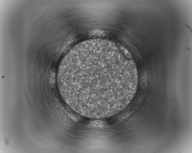 X0000102460708200809051309