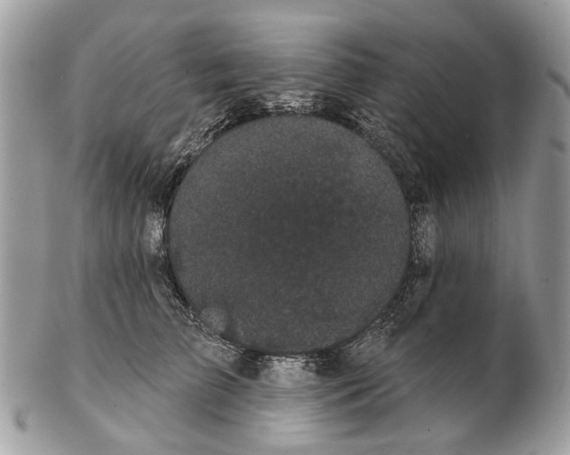 X0000102460709200809051309
