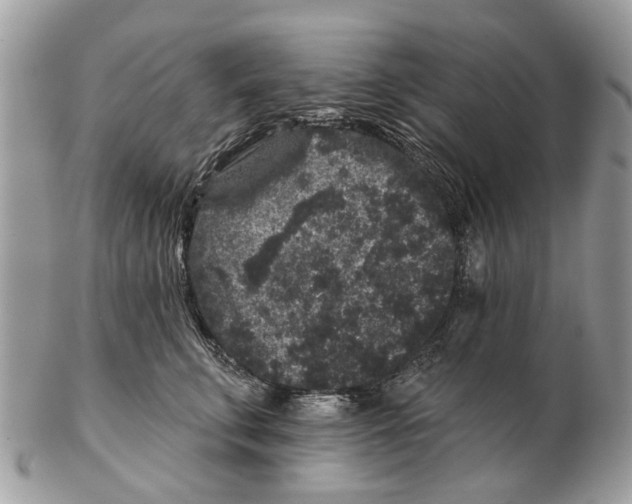 X0000102460711200809051309