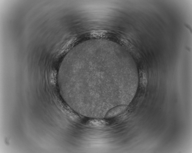 X0000102460712200809051309