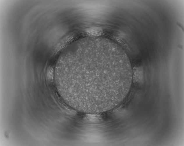 X0000102460713200809051309