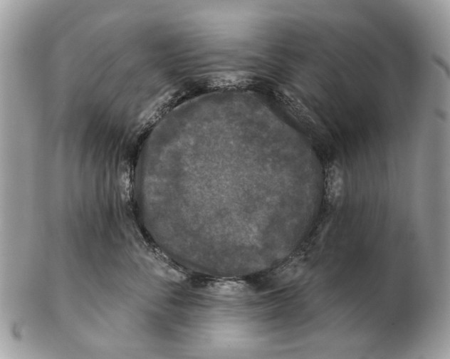 X0000102460716200809051309
