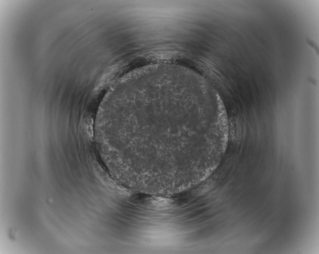 X0000102460718200809051309