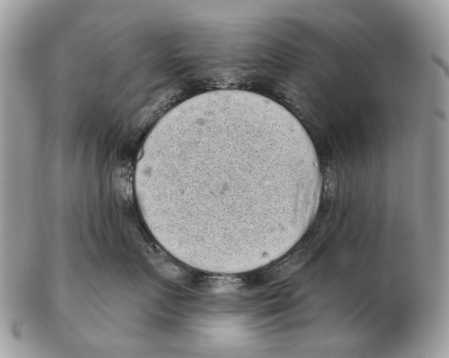 X0000102460719200809051309