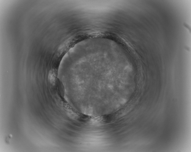 X0000102460720200809051309
