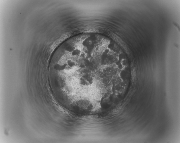 X0000102460721200809051309