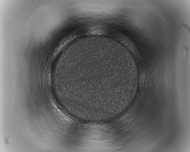 X0000102460722200809051309