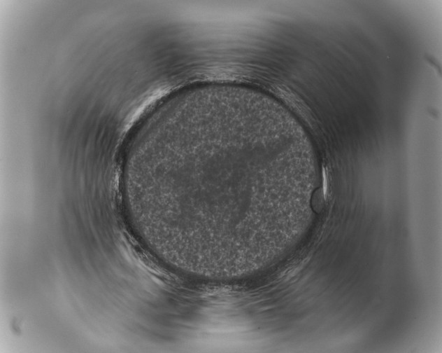 X0000102460723200809051309