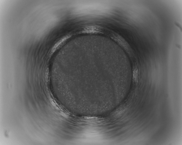 X0000102460724200809051309