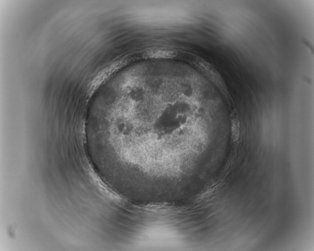 X0000102460725200809051309