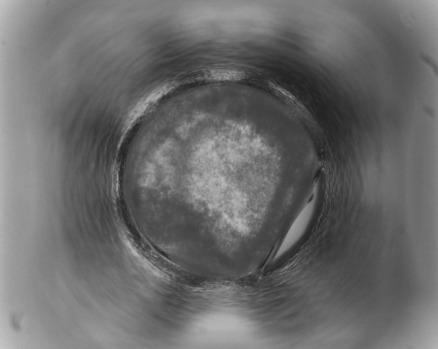 X0000102460726200809051309