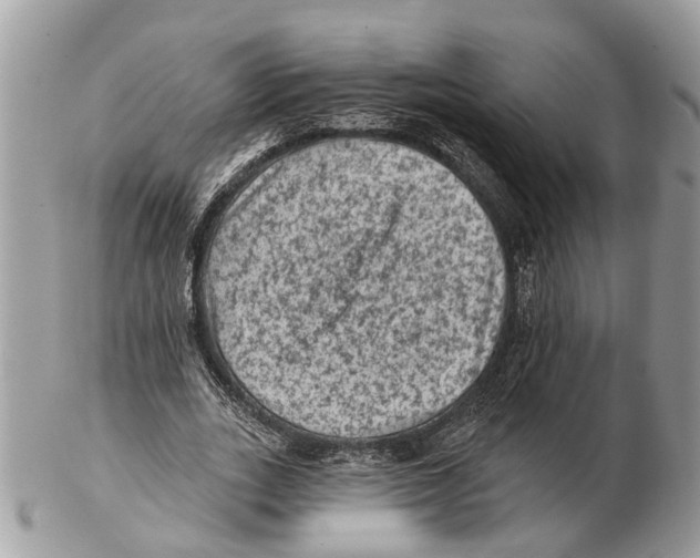 X0000102460727200809051309