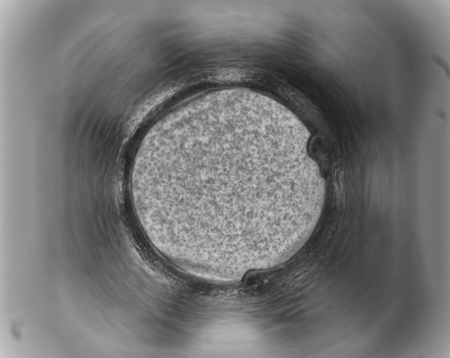 X0000102460728200809051309