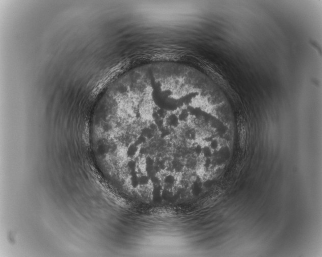 X0000102460729200809051309