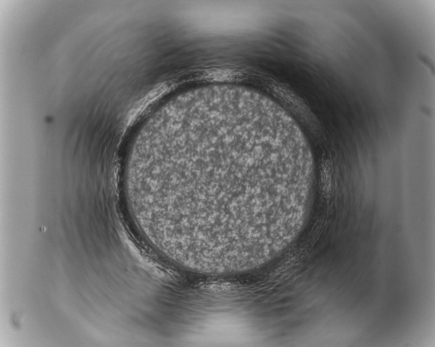 X0000102460730200809051309