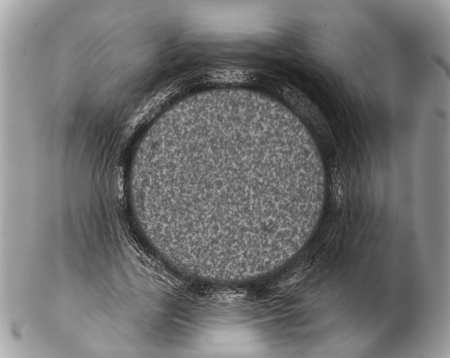X0000102460731200809051309
