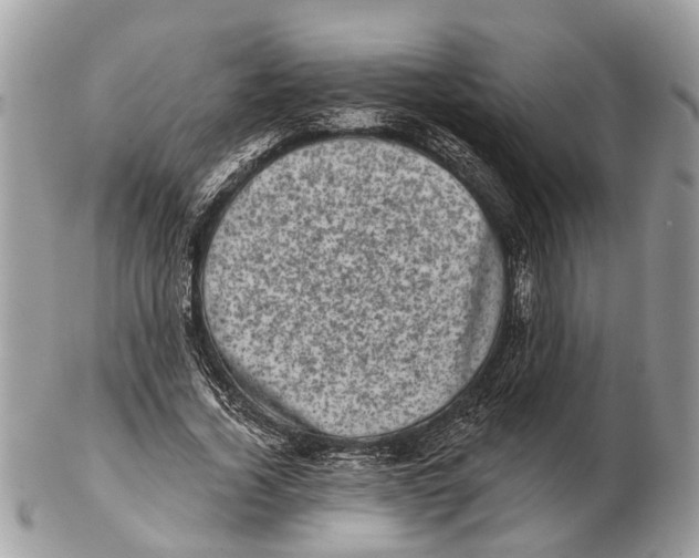 X0000102460732200809051309