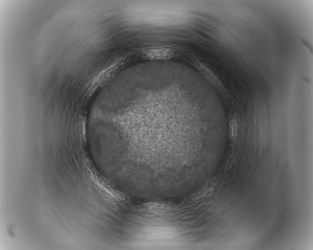 X0000102460733200809051309